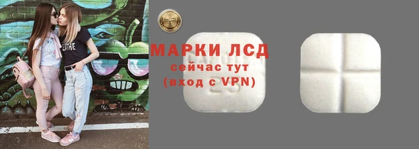 хмурый Карпинск