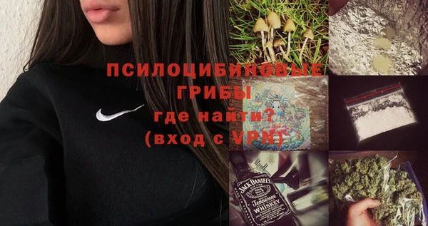 хмурый Карпинск