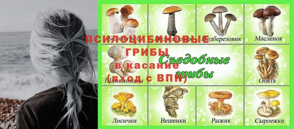 а пвп мука Касимов