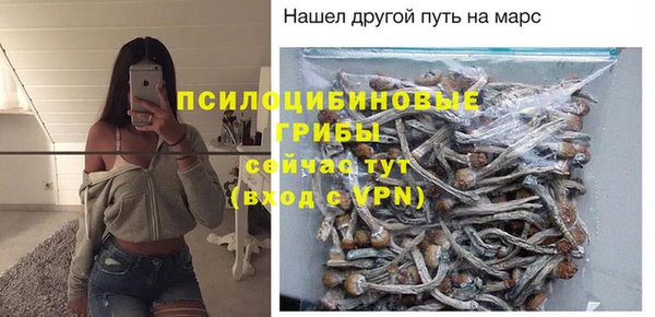 хмурый Карпинск