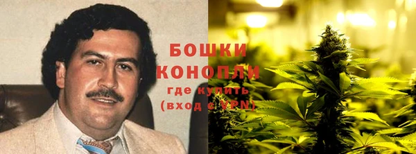 хмурый Карпинск
